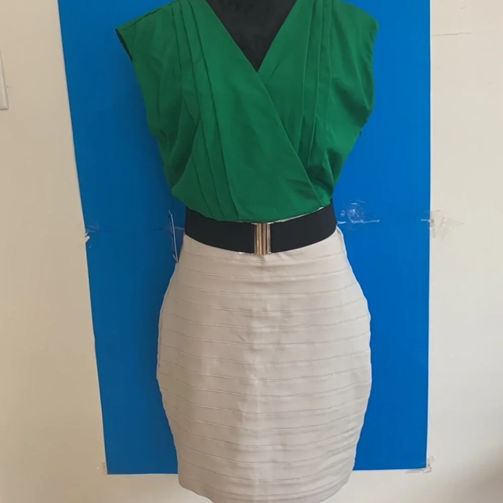 COPY - EXPRESS NEW Fitted Dress - Picture 2 of 14